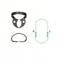 Crampon Molaire du Bas