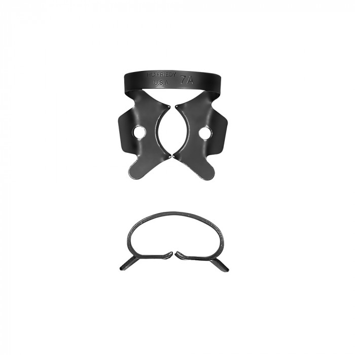 Crampon Molaire du Bas