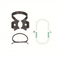 Crampon Molaire du Bas